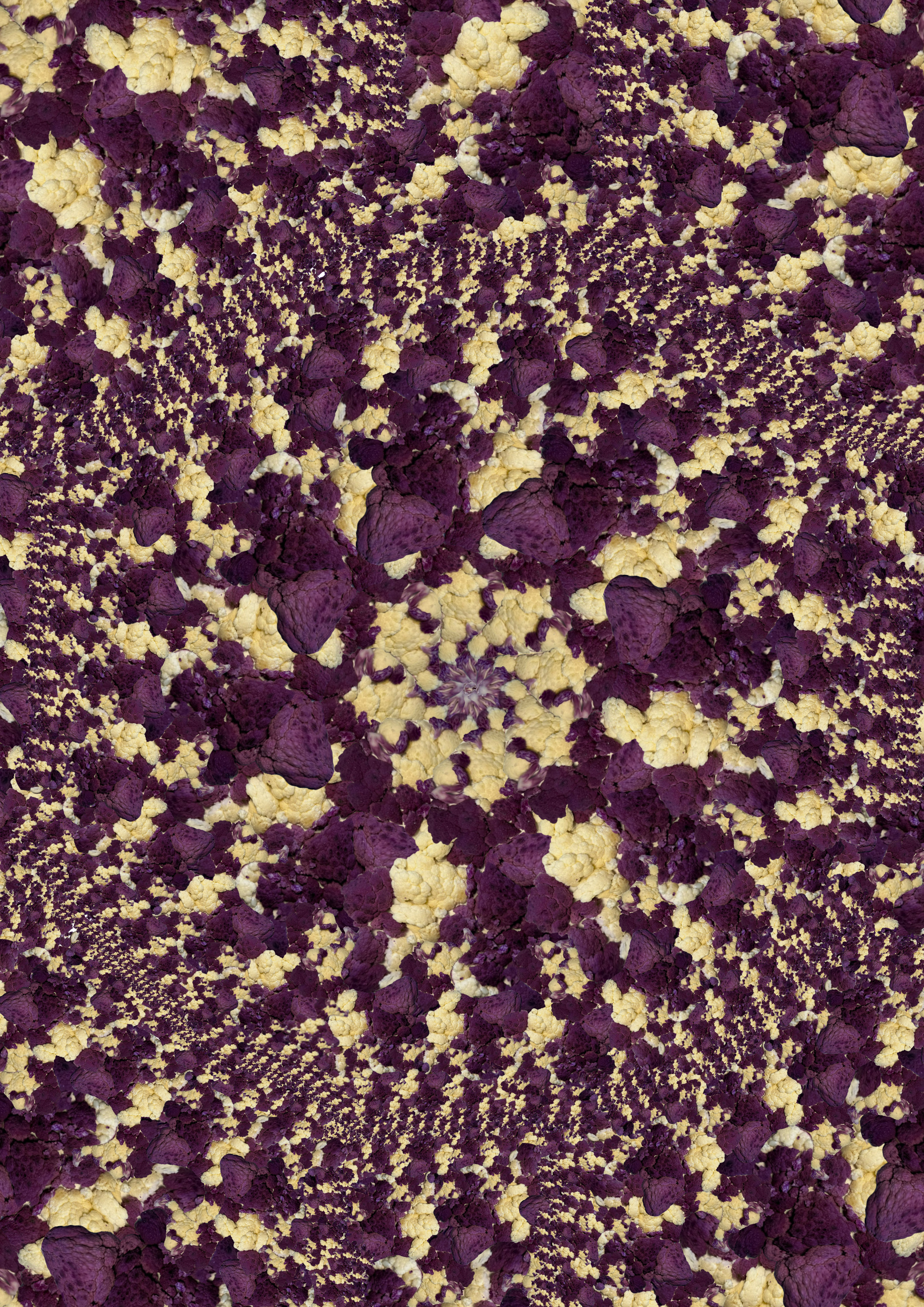 Kimono Compost Project